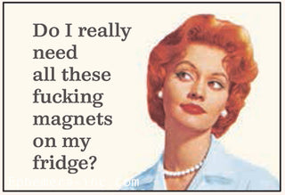 Magnet-Do I really need all these fucking magnets...